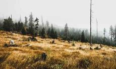 属猴人2021年10月各方面运势情况分析