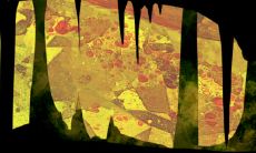 生肖猪2023年的全年运势 财运及健康欠佳