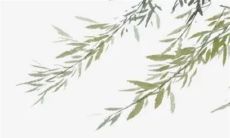 清明节吃寒食最早是为了纪念谁 清明节吃馓子的寓意