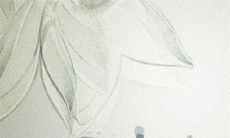 寒食与清明什么关系 清明节和寒食节是一个节日吗