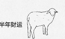 79年属羊人后半年财运2022
