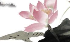 闰二月“双龙抬头”:吸龙气吃3样 此年万事顺遂鸿运当头