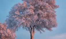 2022最幸福要发财生肖女 事业财运最好的属相