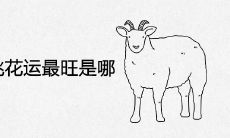 79年属羊桃花运最旺是哪一年