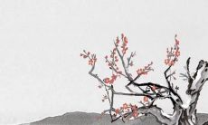 2023年清明节前社日是哪一天 清明节不过社是什么意思