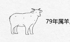 79年属羊人哪年转运