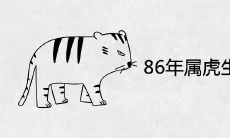 86年属虎生虎宝宝好吗