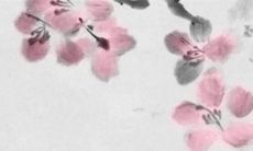 清明节不能去别人家吗 清明节踏青的由来和意义