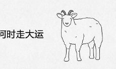 79年属羊何时走大运