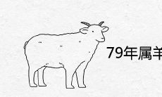 79年属羊何时走桃花运