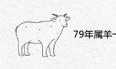 79年属羊一生几个子女