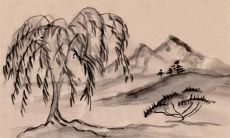 春分养生重点是什么 春分时节适合吃什么菜