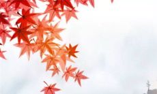 春分吃什么食物最好 春分吃春菜的寓意