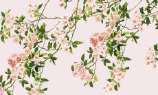 2021年11月10日店铺开张好吗 是不是好日子