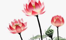 2021年阴历十月可以开张的日子查询 最佳吉日查询看八字