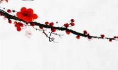 大年十三扔掉内裤有什么意思 扔旧内裤有什么禁忌吗