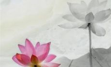 今年正月十三可以拜年吗 年初十三能走亲访友拜年吗