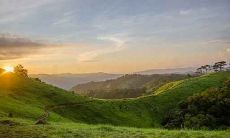 1985年出生属猴人婚姻配对 和什么生肖结婚最好