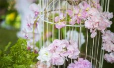 2022年10月生肖属猴结婚最佳好日子 成婚大吉日查询