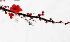 女儿出嫁准备什么嫁妆 常见的陪嫁物品