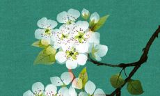 2022年4月20日谷雨五行穿衣分享 最佳幸运色查询