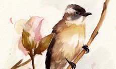 2022年4月19日五行属性查询 每日五行穿衣搭配