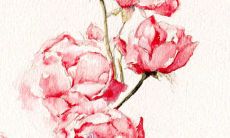 穿衣色彩攻略:2022年4月18日五行穿衣属性查询