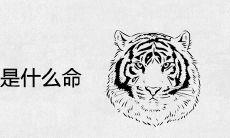 1986年属虎是什么命