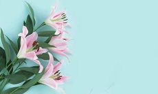 今日五行穿衣:2022年4月11日穿什么颜色旺运势