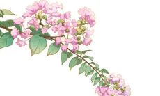 2022年4月5日清明节五行穿衣指南 今日最佳衣服颜色