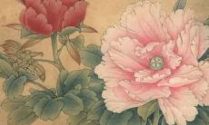 每日五行穿衣分享:2022年4月24日穿衣最佳幸运色