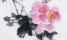 穿衣色彩攻略:2022年4月8日五行穿衣属性查询