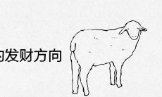 1979年属羊的发财方向