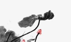 2023年闰二月有什么说法 2023年双闰月有什么忌讳