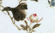 闰月为什么送花糕鱼 闰月花糕鱼什么时候送