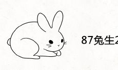 87兔生2023兔好吗
