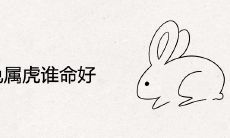 属兔属虎谁命好
