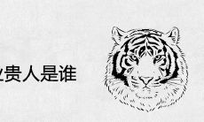 属虎的事业贵人是谁