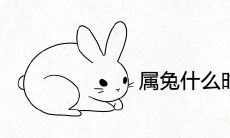 属兔适合什么时辰出生最聪明