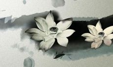 2023年4月份安葬吉日 适合2023年安葬的好日子