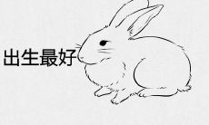 2023年属兔几月出生最好