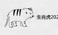 生肖虎2022年不可错过的贵人