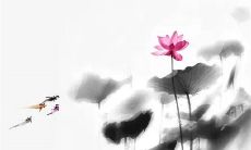 2023年闰二月民间有什么说法 老人说闰二月不祥之兆