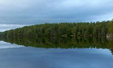 2021年7月白羊座运势大全完整详解