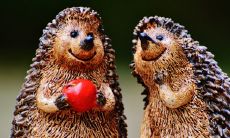 2022年虎年不宜结婚的属相