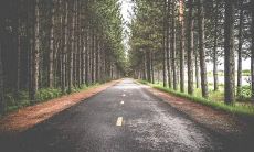 白羊座的谈恋爱特性 恋爱时是什么样的