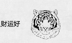 农历几日出生的属虎人财运好