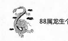 88属龙生个2023兔宝宝好吗