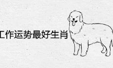 2022年工作运势最好的生肖