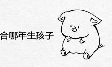 95年猪适合哪年生孩子